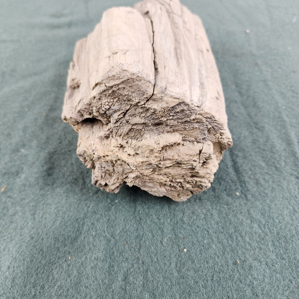 Petrified Wood Specimen 6"x3.5"x2.5" - Picture 4 of 8